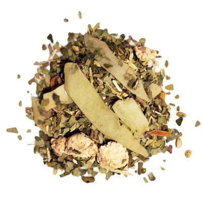 Yerba Mate di lusso | Balli nella foresta pluviale (Crema al cocco)