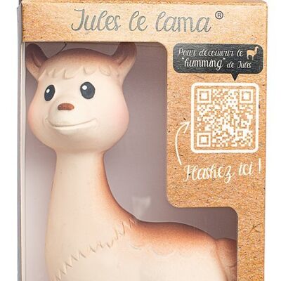 Jules the llama