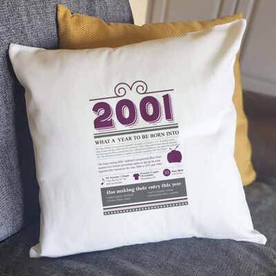 21st Birthday Gift Retro History for 2001 Cushion