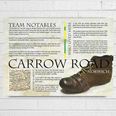 Norwich Football Club History Print