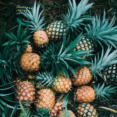 Organic Bulk Jam Pineapple|Bib 5 kg