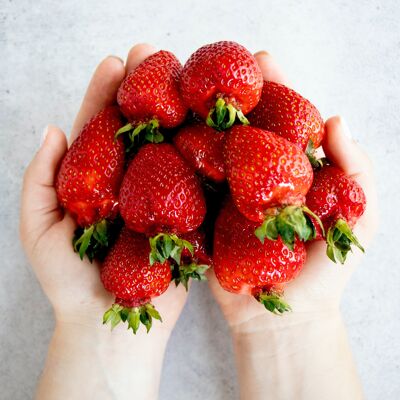 Bio Bulk Konfitüre Französische Erdbeere|Lätzchen 5kg