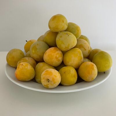 Organic Bulk Jam Mirabelle plum from Lorraine|Bib 5 kg