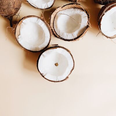 Organic Bulk Coconut Jam|Bib 5 kg