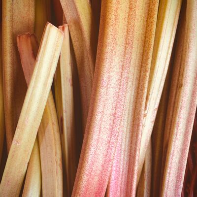 Organic Rhubarb Bulk Jam|Bib 5 kg