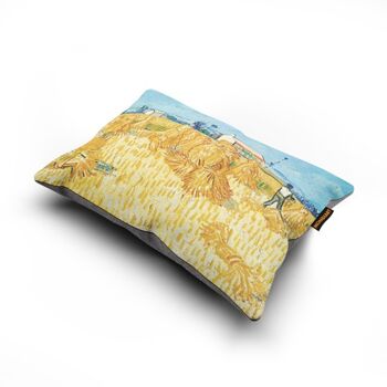 Coussin 45/65 CUS155