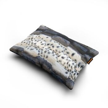 Coussin 50/30 CUS261