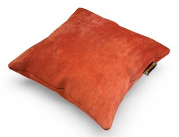 Coussin 45/45 CUS265