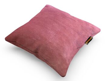 Coussin 45/45 CUS266