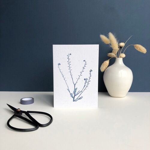 Blue forget me not plant print greeting card