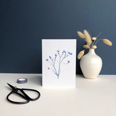 Plant Print Greeting card | wild flower 'white campion' in blue.