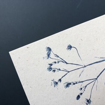 Carte de voeux d'impression de plante | fleur sauvage 'white campion' en bleu. 2