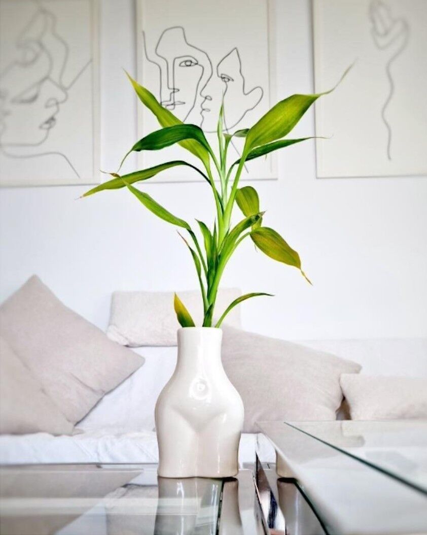 Piccolo vaso foufoun