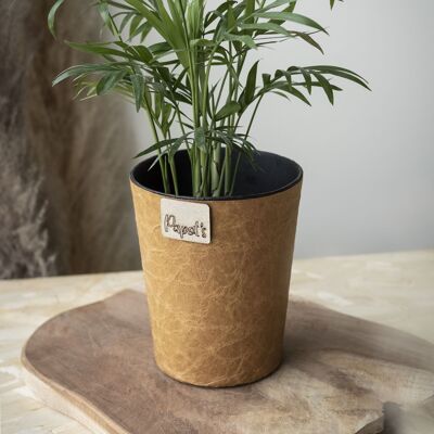 Vase zéro-déchet | ORIGINAL Kraft (Ø10,5cm)