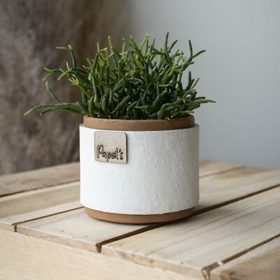 Pot mini plante zéro-déchet | SÉRÉNITÉ Miel (Ø6,5cm)