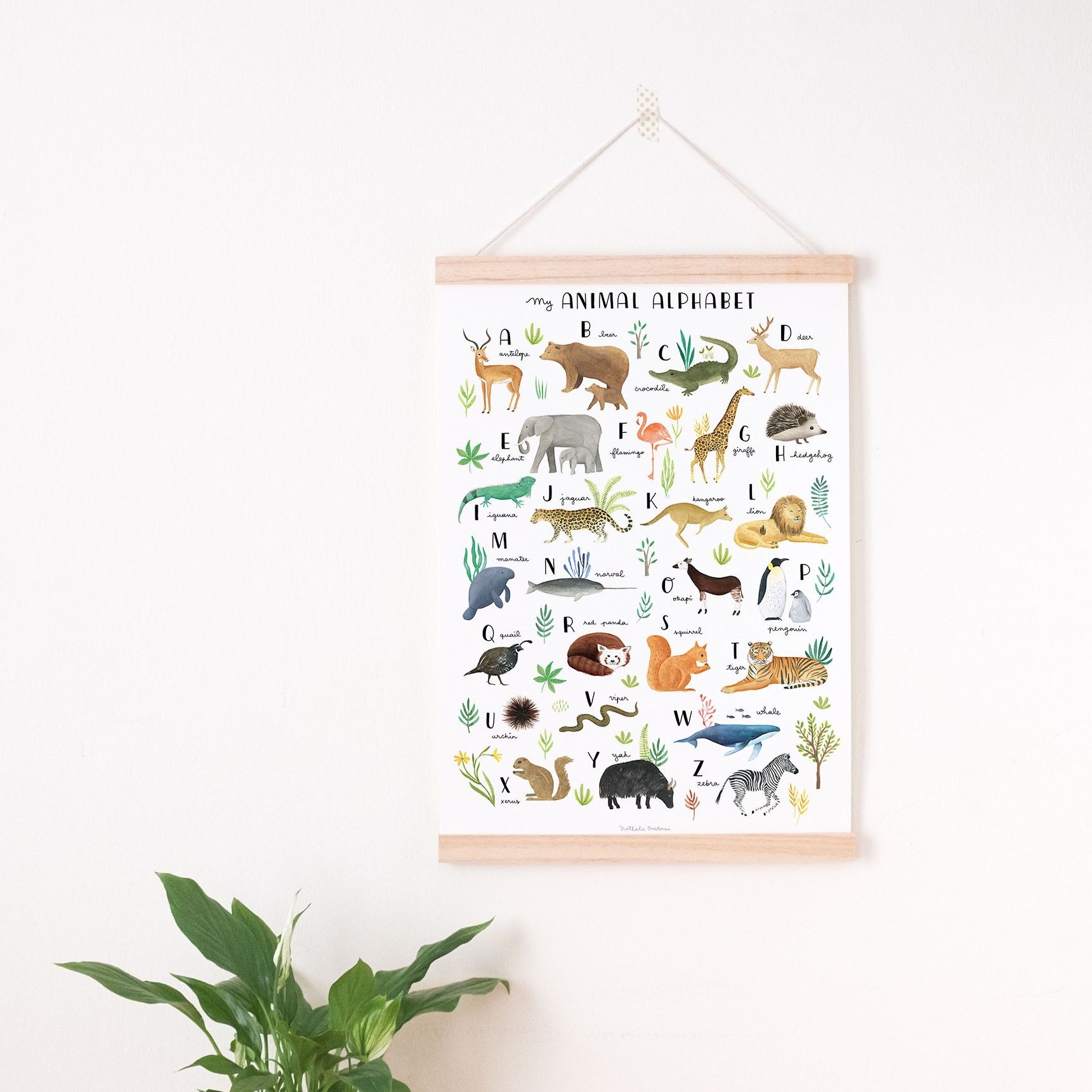 Stampa animale ABC - English