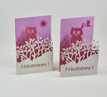 Félicitation de naissance Bébé Hibou 1