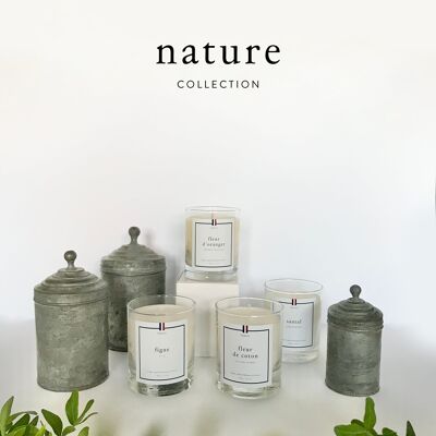 Nature collection candles - Discovery pack 9 units.