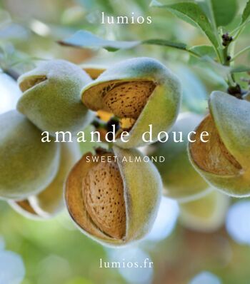 Bougie parfumée Amande douce collection nature - 4 unités. 4