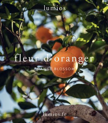 Bougie parfumée Fleur d'oranger collection nature - 4 unités. 4