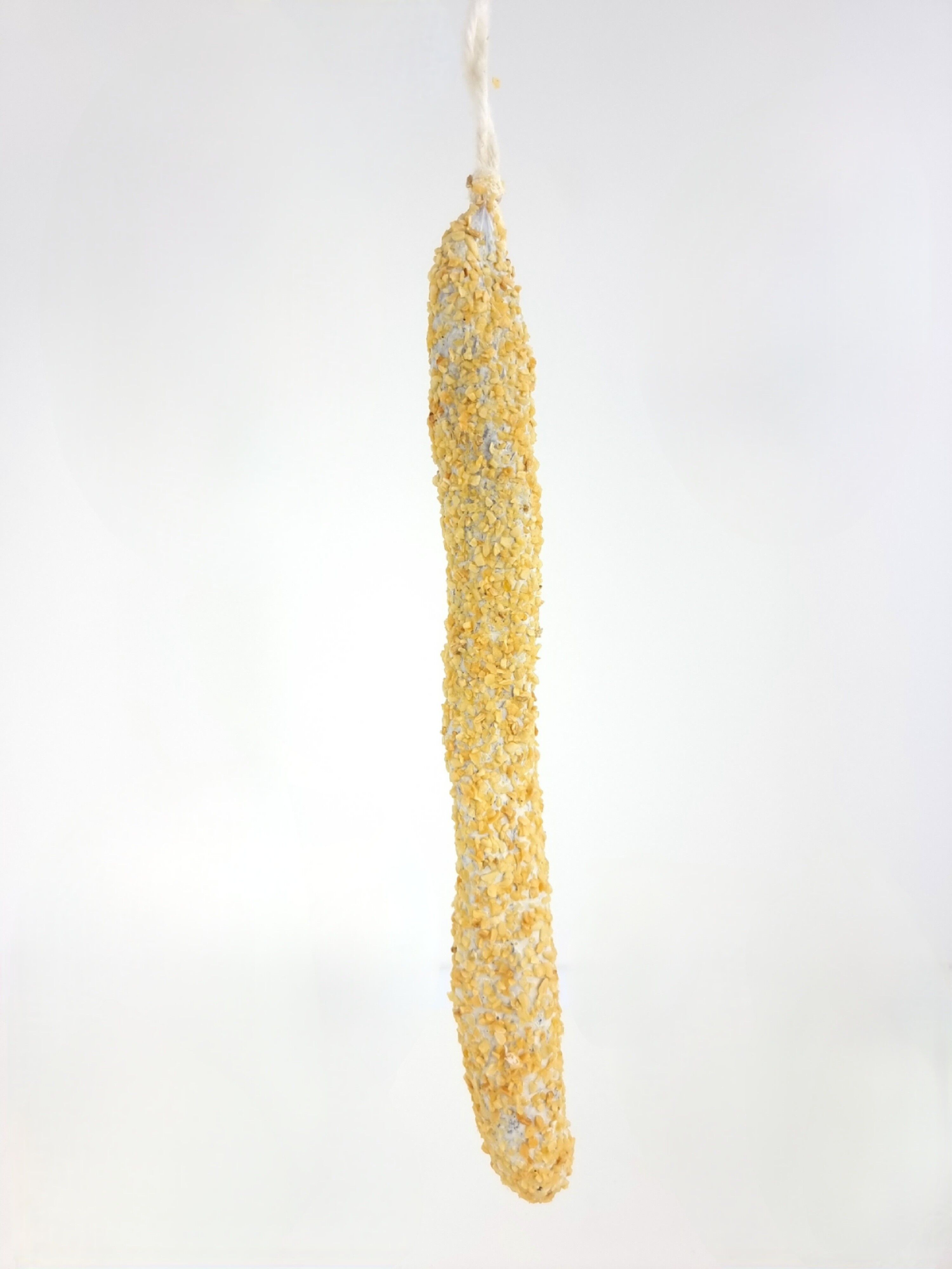 Catalan Garlic Fuet - Salsiccia catalana all'aglio