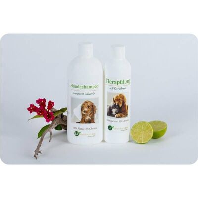 Pflegeset für Hunde | MAXI Sparpaket mit Shampoo & Pflegespülung