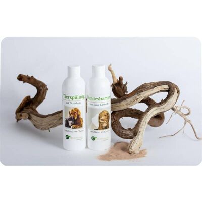 Kit de toilettage pour chien | Shampoing et revitalisant