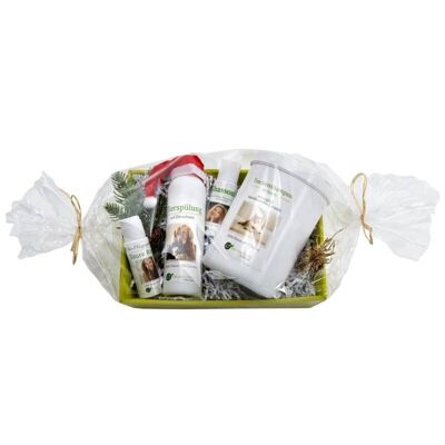 Coffret cadeau pour chats | Shampoing sec et revitalisant