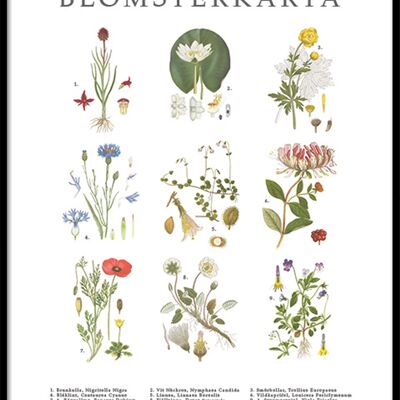 Poster Blumenkarte
