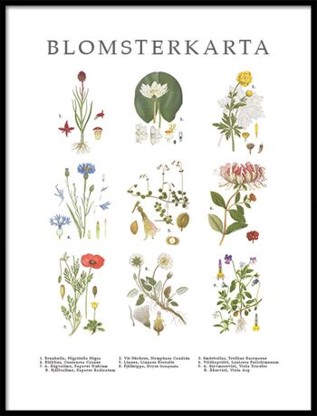 Poster Fleur Carte