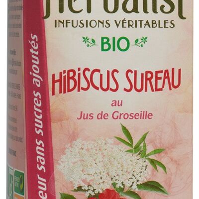 Tisane glacée de fleurs Hibiscus Sureau et Rose, au jus de Groseille - 1L × 8