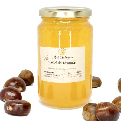 Miel de Forêts Primaires 140g - BIO