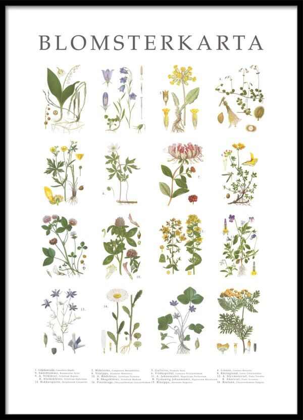 Poster Blumenkarte-3666