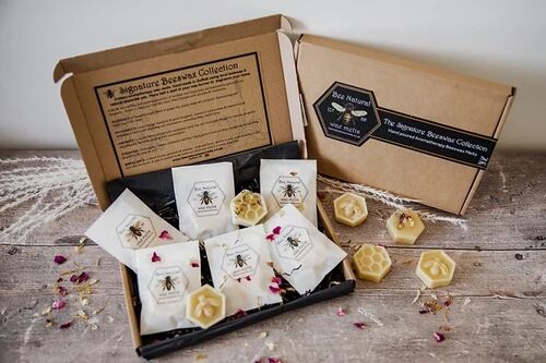 The Introductory Beeswax Collection
