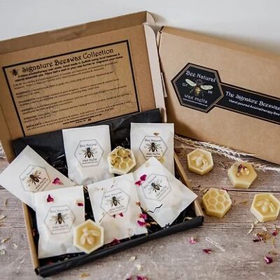 The Introductory Beeswax Collection