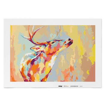 Peinture à numéros - Cerf coloré 2