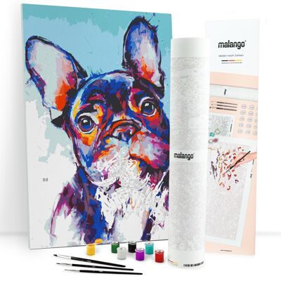 Dipingi con i numeri - Bulldog colorato
