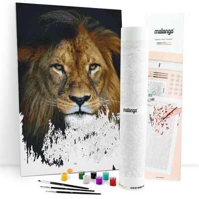 Dipingere con i numeri - sguardo leone