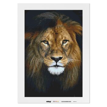 Peinture par numéros - regard de lion 2