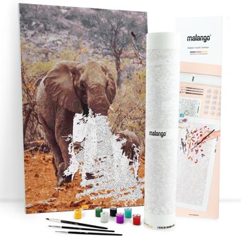Peinture à numéros - Duo d'éléphants 1