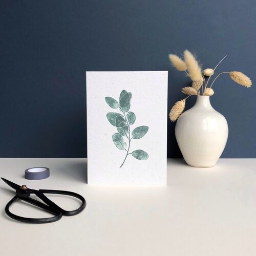 Plant Print greeting Card | Eucalyptus tree leaves