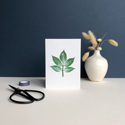 Plant Print Greeting Card | Elder tree leaf
