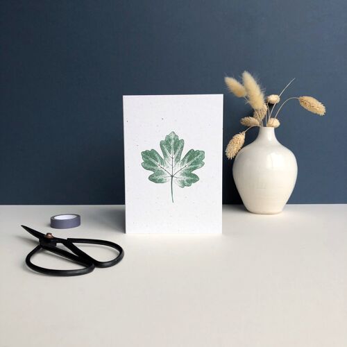 Plant Print greeting card | Field maple tree leaf