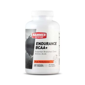 Endurance Amino (240 Gélules)