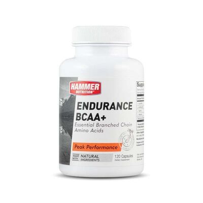 Endurance Amino (120 Capsules)