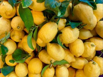 Citron de Sicile - Huile d'olive extra vierge de culture volcanique 3