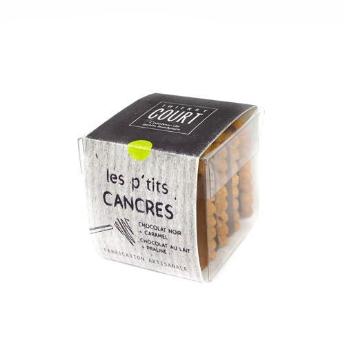 P'TITS CANCRES cookies - x4 Dark chocolate &amp; milk chocolate