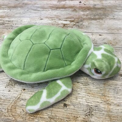 Peluche Tortue - Duffy