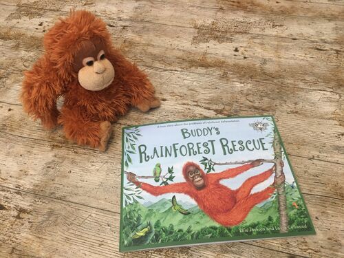 Orangutan Teddy - Buddy