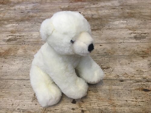 Polar Bear Teddy - Hunter